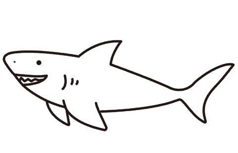 サメ