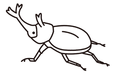 カブトムシ