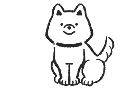 柴犬